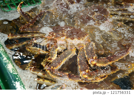 タラバガニ タラバガニ 121756331