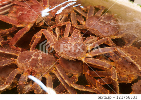 タラバガニ 121756333