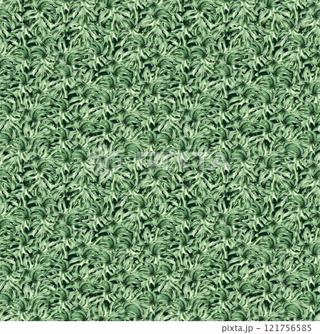 Watercolor illustration of monstera. Botanical seamless paved pattern of green plant leaves, hand drawn. Houseplant of green color, on isolated background. Drawing for photo wallpaper, scrapbooking 121756585