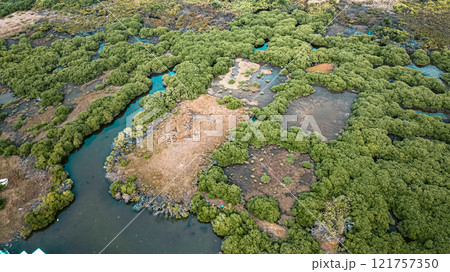 Coastal Village and Mangrove Forest Landscape, Tai O Dec 31 2024 Coastal Village and Mangrove Forest Landscape, Tai O Dec 31 2024 121757350