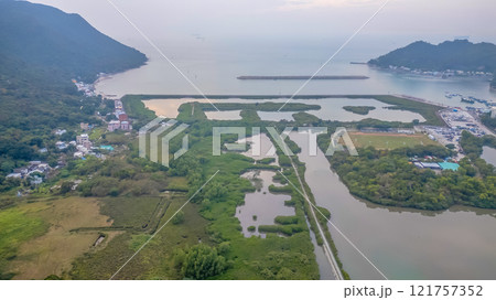 Coastal Wetlands with Lush Vegetation, Tai O Dec 31 2024 Coastal Wetlands with Lush Vegetation, Tai O Dec 31 2024 121757352
