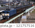 安中鉄橋を渡るEF64牽引ELぐんま2fin号 121757516