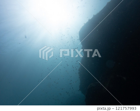 海中風景 海中風景 121757993