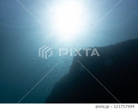 海中風景 海中風景 121757994