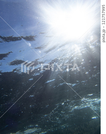 海中風景 海中風景 121757995