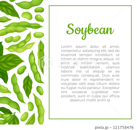 Green Soybean Pod Natural Organic Crop Banner Design Vector Template 121758476