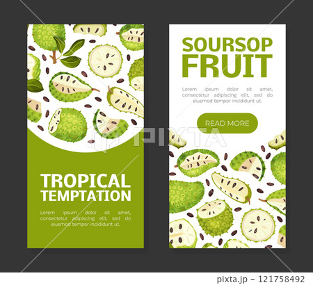 Soursop Fruit or Guanabana Banner Design Vector Template Soursop Fruit or Guanabana Banner Design Vector Template 121758492