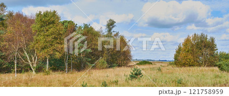 Copyspace and scenic landscape of grassy meadows and forest trees with a cloudy blue sky. Field and scrubs with brown grass during Autumn. View of remote grassland in the countryside in Sweden 121758959