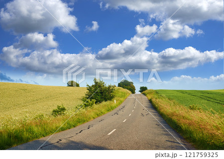Beautiful landscape of a countryside tar road with a cloudy blue sky and copy space. Roadway outdoors in nature on a summer afternoon or day near lush green grass with copyspace Beautiful landscape of a countryside tar road with a cloudy blue sky and copy space. Roadway outdoors in nature on a summer afternoon or day near lush green grass with copyspace 121759325