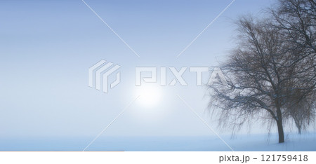 Landscape view of snow fields, copy space and dry tree on a cold winter day in New Zealand. Sun shining over sky and glacier ice on a morning with mist or fog. Background after heavy snowfall 121759418
