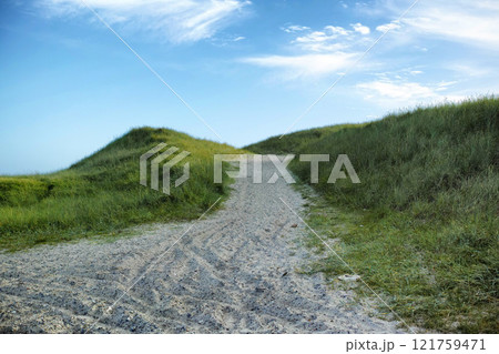 Closeup of a sand path with lush green grass growing on a beach with cloudy copy space. Beautiful blue sky on a warm and sunny summer day over a dry and sandy dune situated on a coastline bay area 121759471