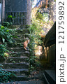台湾の九份、緑に囲まれた石段と振り返る茶色の猫 121759892