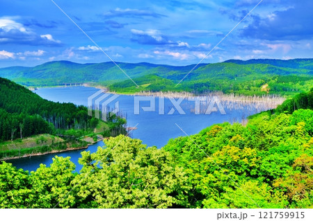 しもかわ珊瑠湖(サンルダム)の眺望 しもかわ珊瑠湖(サンルダム)の眺望 121759915