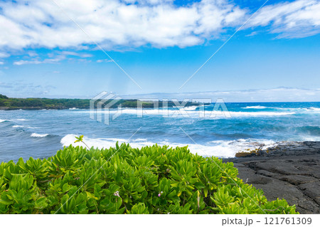 Beach with black lava rocks and naupaka shrub in Hawaii. Beach with black lava rocks and naupaka shrub in Hawaii. 121761309