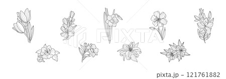 Blooming Flower and Lush Garden Flora Line Vector Set Blooming Flower and Lush Garden Flora Line Vector Set 121761882
