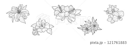 Blooming Flower and Lush Garden Flora Line Vector Set 121761883
