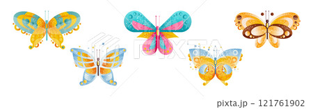 Colorful Butterfly with Wings and Antenna Vector Set Colorful Butterfly with Wings and Antenna Vector Set 121761902