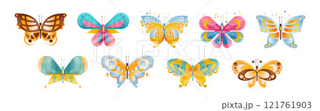 Colorful Butterfly with Wings and Antenna Vector Set Colorful Butterfly with Wings and Antenna Vector Set 121761903