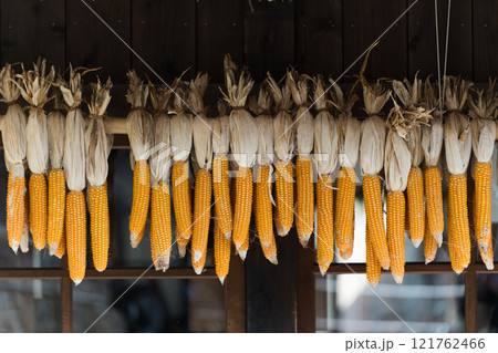 Dried corn hanging on wooden beam in Japanese village. Concept of agriculture, harvest, and rustic farming traditions 121762466