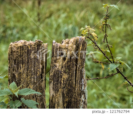 wood eroded by time wood eroded by time 121762794