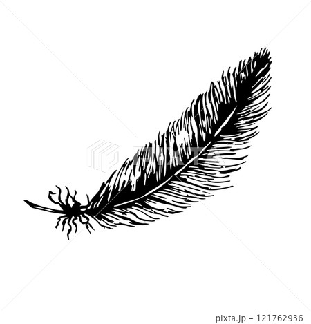 Elegant feather design for first communion elements and religious celebrations. Hand drawn. Black and white vector illustration. 121762936