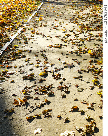 The wind moves fallen dry leaves along the park path, bright sunlight, autumn season atmosphere 121762941