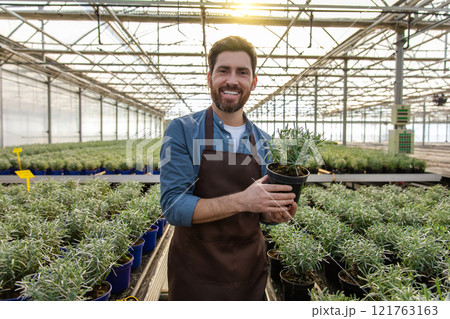 Smiling bearded man with a potted flower in hands in a glasshouse Smiling bearded man with a potted flower in hands in a glasshouse 121763163