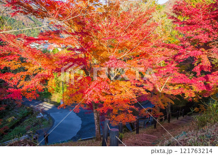「もみじ谷」の紅葉（三重県四日市市水沢町宮妻） 121763214