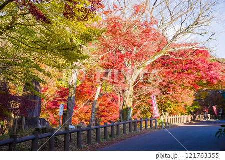 「もみじ谷」の紅葉（三重県四日市市水沢町宮妻） 121763355