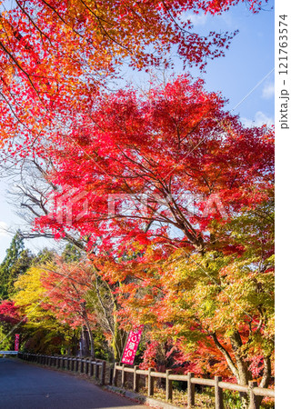 「もみじ谷」の紅葉《三重県　四日市市　水沢町》 121763574