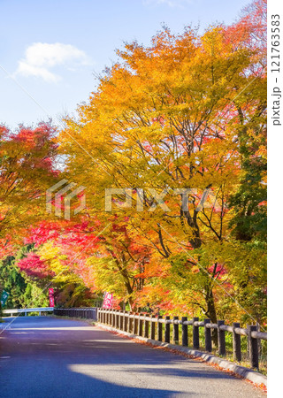 「もみじ谷」の紅葉《三重県 四日市市 水沢町》 「もみじ谷」の紅葉《三重県 四日市市 水沢町》 121763583