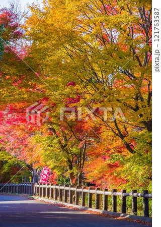 「もみじ谷」の紅葉《三重県　四日市市　水沢町》 121763587