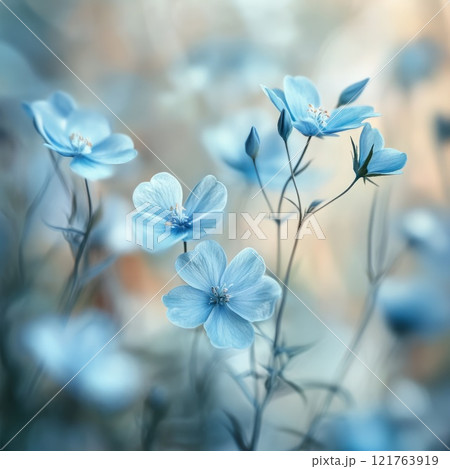 light blue flowers with blurred background 121763919
