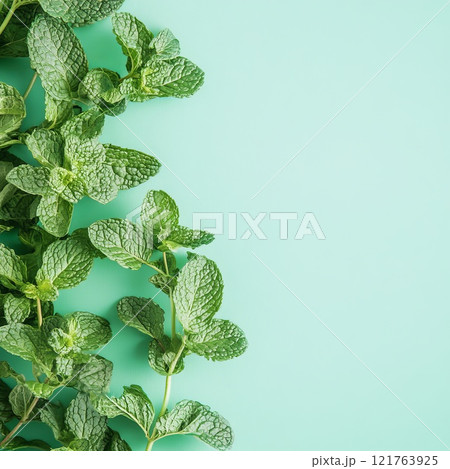 background with mint flowers 121763925