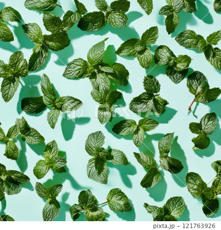 background with mint flowers 121763926