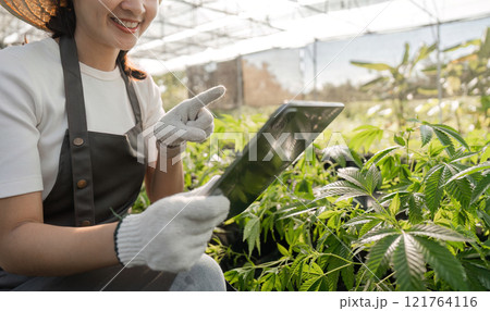 Young Woman Cultivates Herbal Garden Using Modern Technology and Sustainable Practices in a Greenhouse Setting Young Woman Cultivates Herbal Garden Using Modern Technology and Sustainable Practices in a Greenhouse Setting 121764116