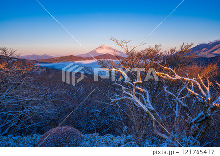 【神奈川県】降雪した箱根から芦ノ湖の雲海と富士山　夜明け 121765417