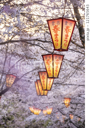 夜桜 打吹公園 夜桜 打吹公園 121765643