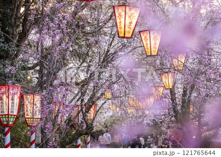 夜桜　打吹公園 121765644