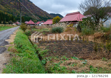 山村のススキ 121766298