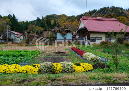 廃屋と花畑 121766300