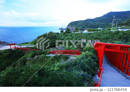 赤い鳥居　　元乃隅神社4050 121766459