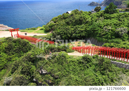 赤い鳥居 元乃隅神社4015 赤い鳥居 元乃隅神社4015 121766600