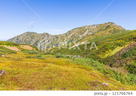 秋の立山黒部アルペンルート　紅葉の天狗平　大日連山 121766764
