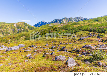 秋の立山黒部アルペンルート　紅葉の天狗平 121766768