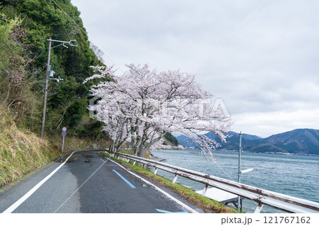 桜と道と琵琶湖のある風景 121767162