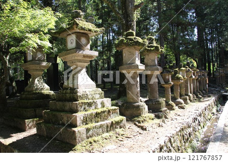 奈良春日大社の静謐な森の風景 奈良春日大社の静謐な森の風景 121767857