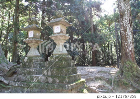 奈良春日大社の静謐な森の風景 奈良春日大社の静謐な森の風景 121767859