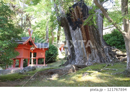 奈良春日大社の静謐な森の風景 奈良春日大社の静謐な森の風景 121767894