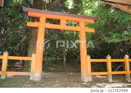 奈良春日大社の静謐な森の風景 奈良春日大社の静謐な森の風景 121767899